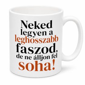Ne álljon fel soha a faszod bögre