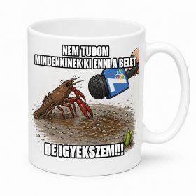 Igyekszem mindenkinek kienni a belét! Bögre