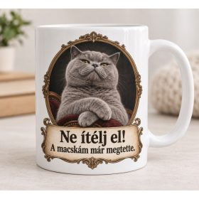   Ne ítélj el a macskám már megtette bögre – humoros ajándéknak macskásoknak