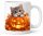 Töklámpásból kukucskáló cica halloweenre macskásoknak