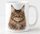 Maine Coon macska portré ajándékba férfiaknak