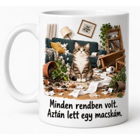   Minden rendben volt aztán lett egy macskám bögre – születésnapra gazdiknak